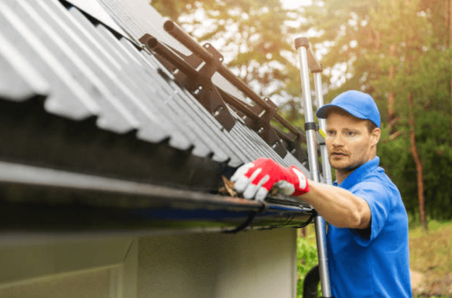 bowling green gutter service